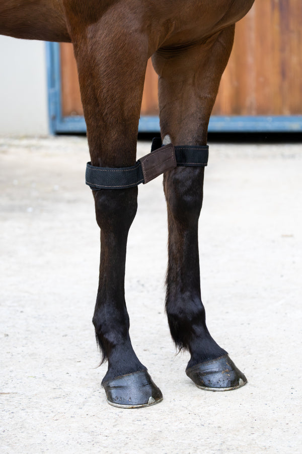 Velcro Knee Hobbles