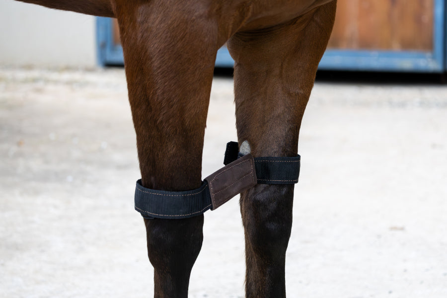 Velcro Knee Hobbles