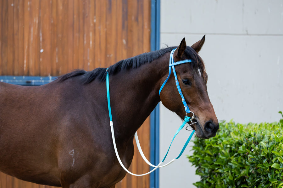 PVC race bridle
