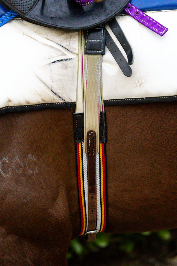 Racing striped surcingle