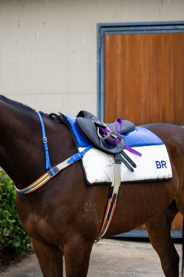 Racing striped surcingle