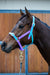 PVC Halter Full w/ brass fittings