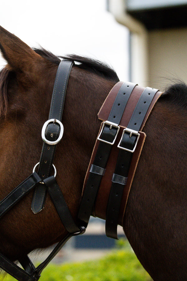 Leather windsuck collar