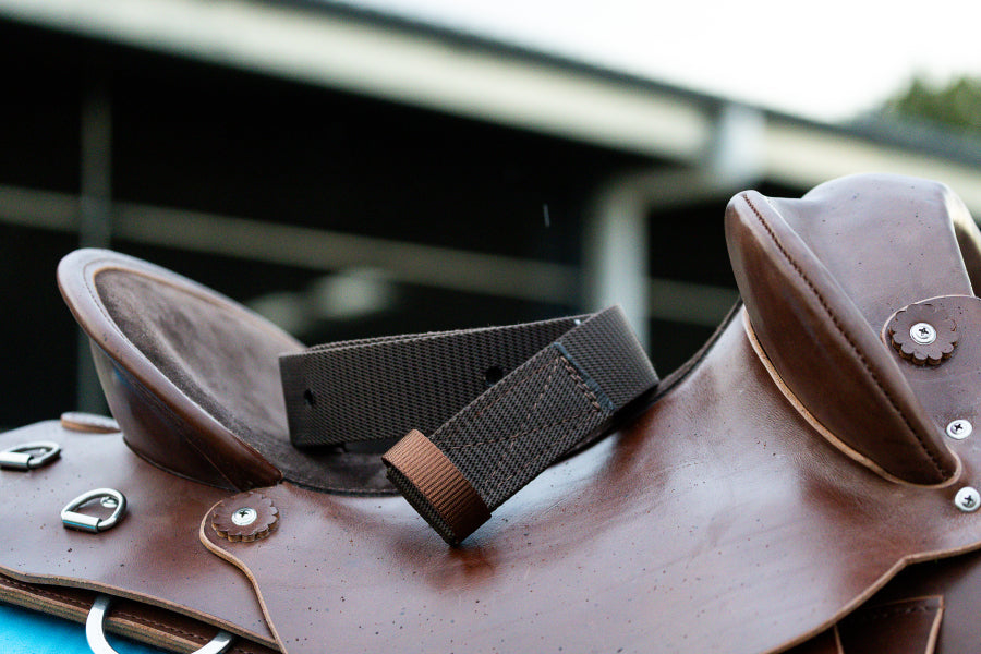 Latigos (Bates nylon strap)