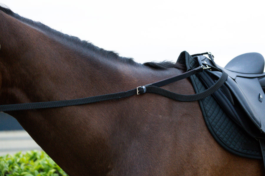 Grass Reins