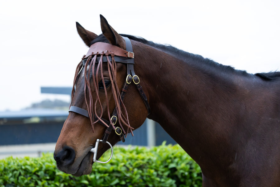Fly browband