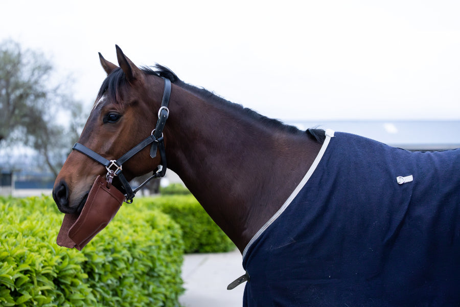Leather biting bib