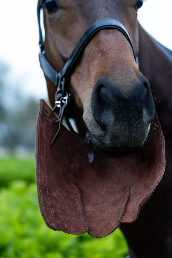 Leather biting bib
