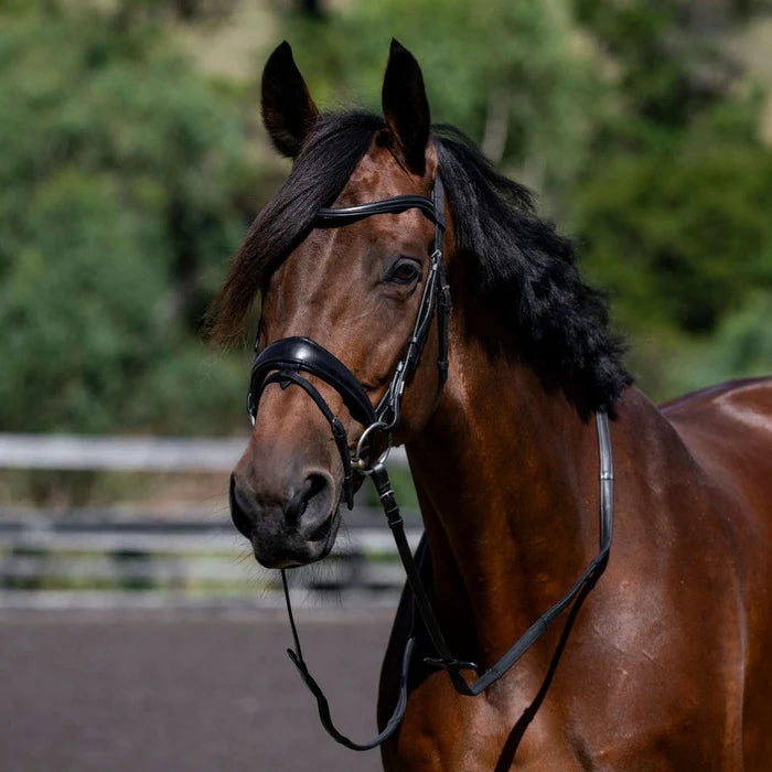 Lumiere Mikayla Convertible Bridle