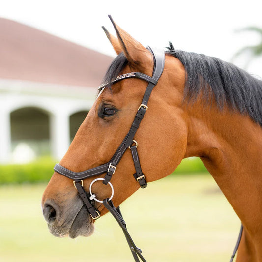 Lumiere Amber Anatomic Bridle (Micklem style)