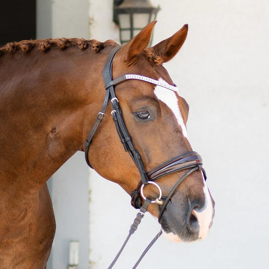 Lumiere Amie Hanoverian Rolled Leather Bridle