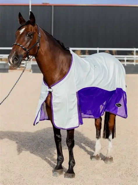 Earlwood Mesh Show Rug