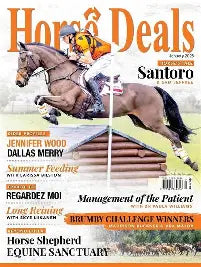 HORSE DEALS JANUARY 2026