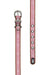 Cosmo Dog Collar