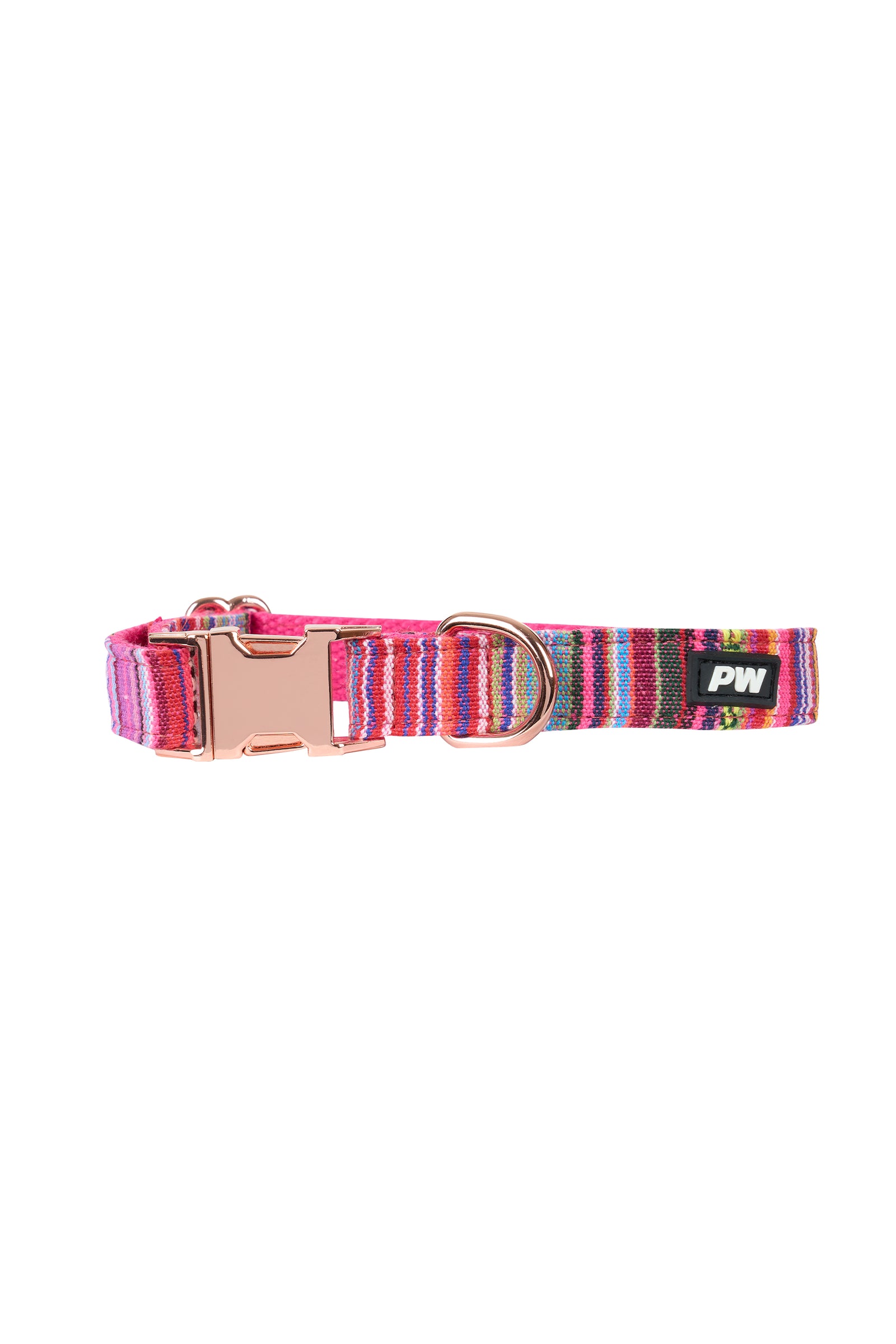 Pure Western Bowie Dollar Collar Pink