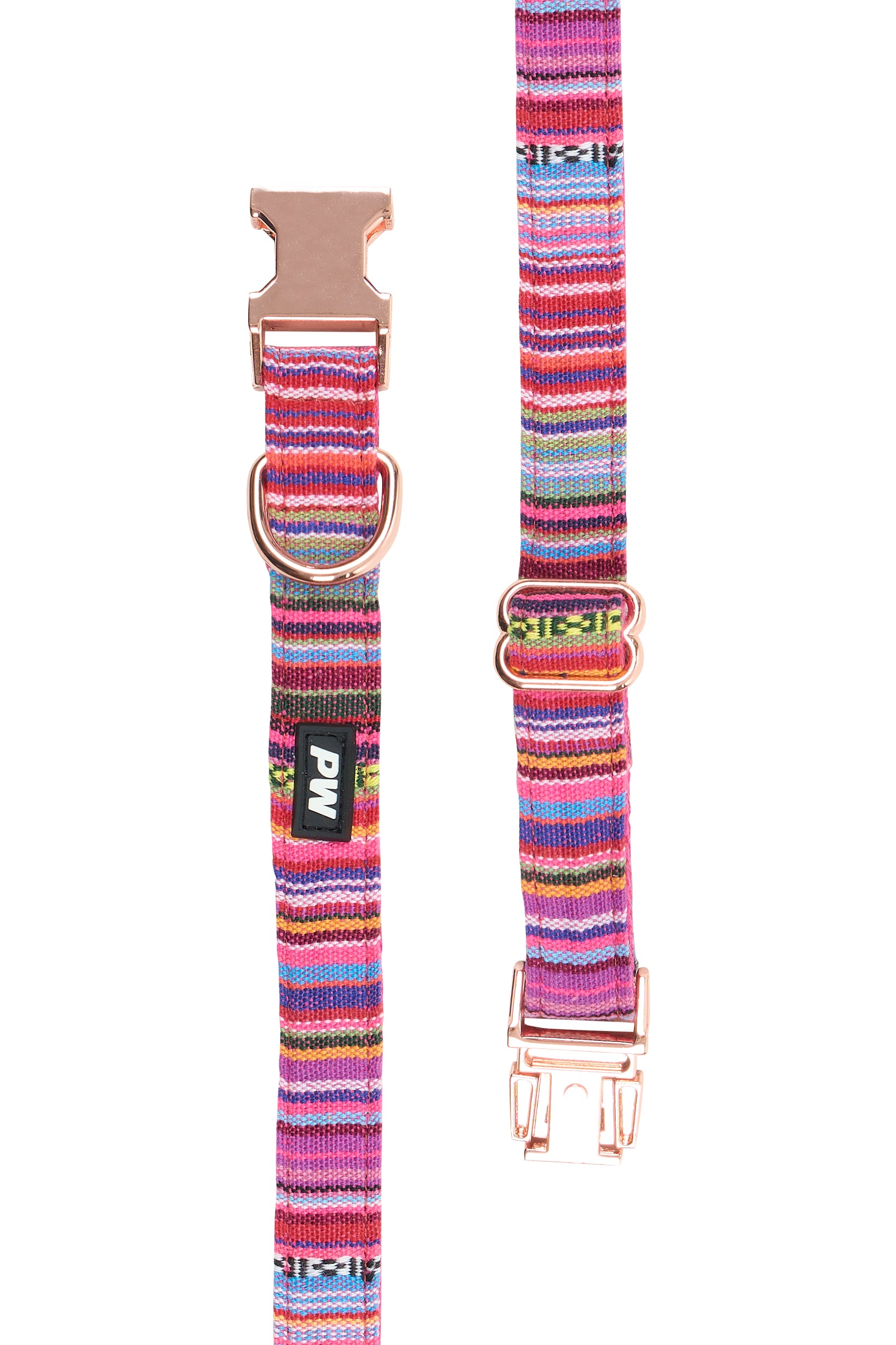 Pure Western Bowie Dollar Collar Pink