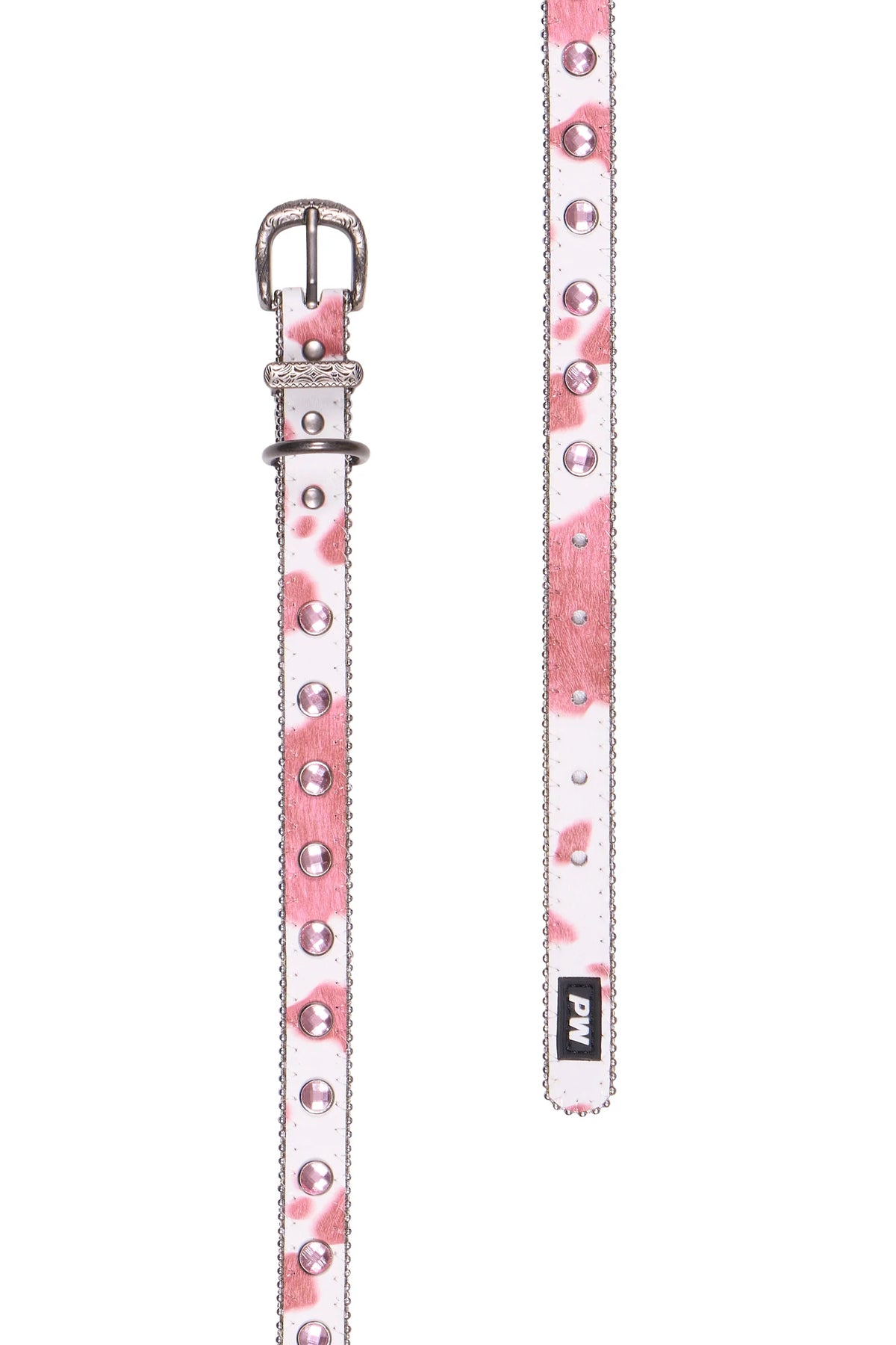 RANDY DOG COLLAR