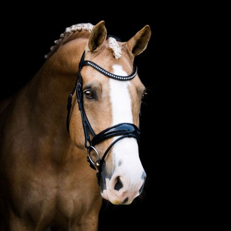 Lumiere - Aurelie Rolled Cavesson Leather Bridle