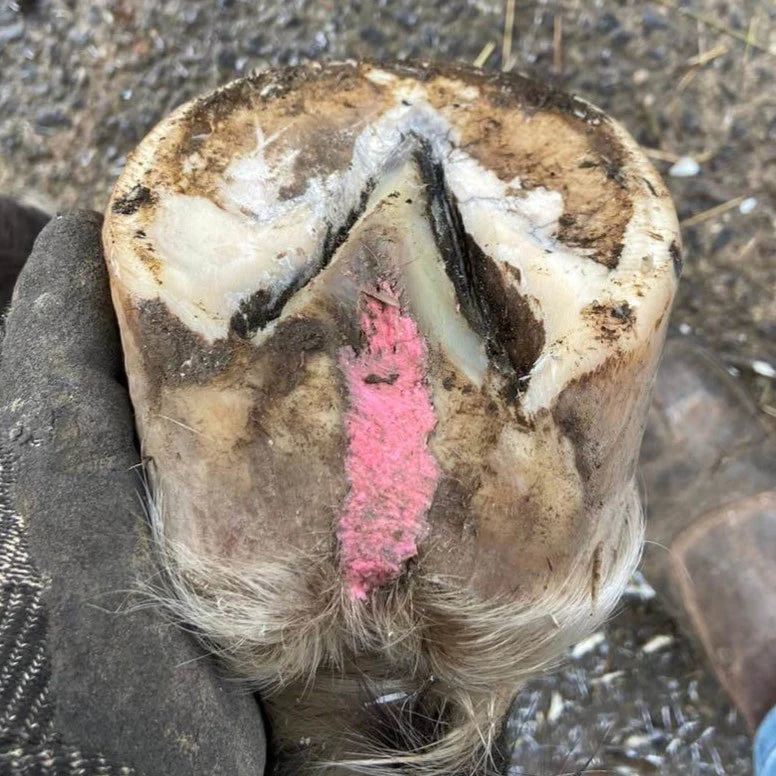 The Hoof Co - Beeswax Balls