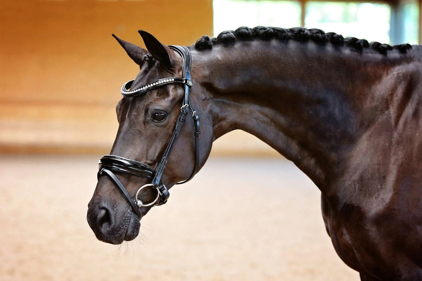 Princess Snaffle Bridle