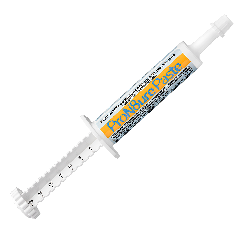 ProN8ure Paste