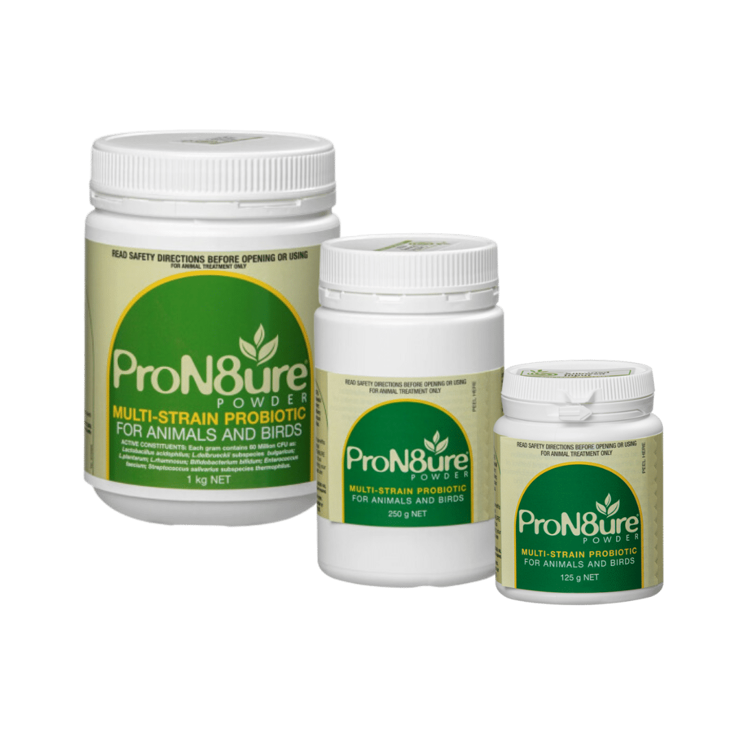 ProN8ure Powder.