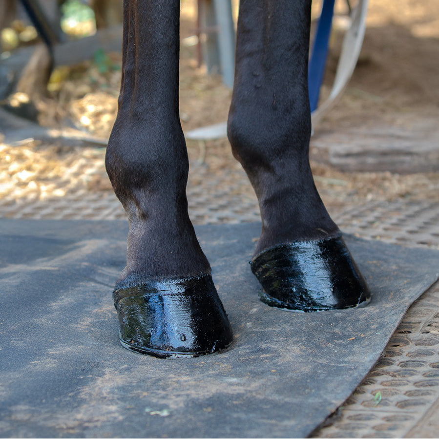 Nolian Enterprises - Hoof Safe Shine Black