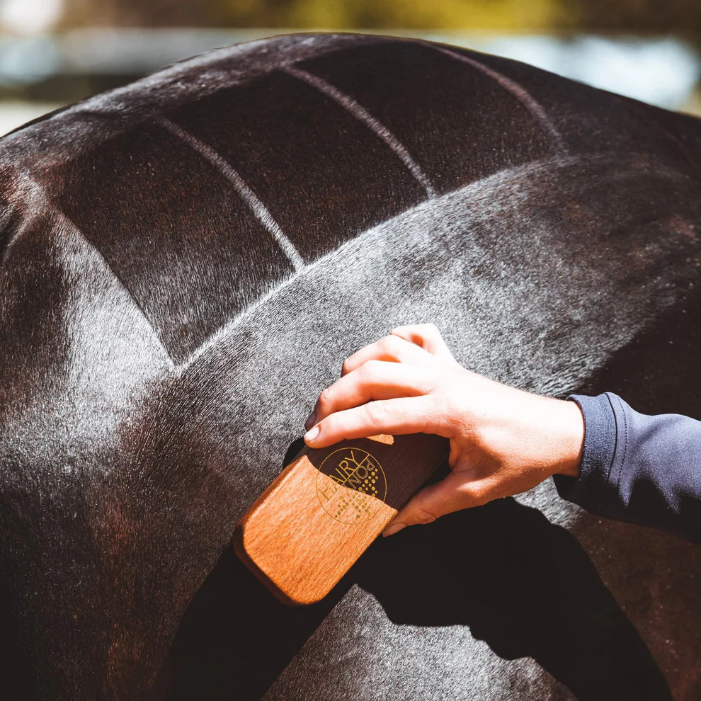 Hairy Pony - Quarter Mark Horse Brush