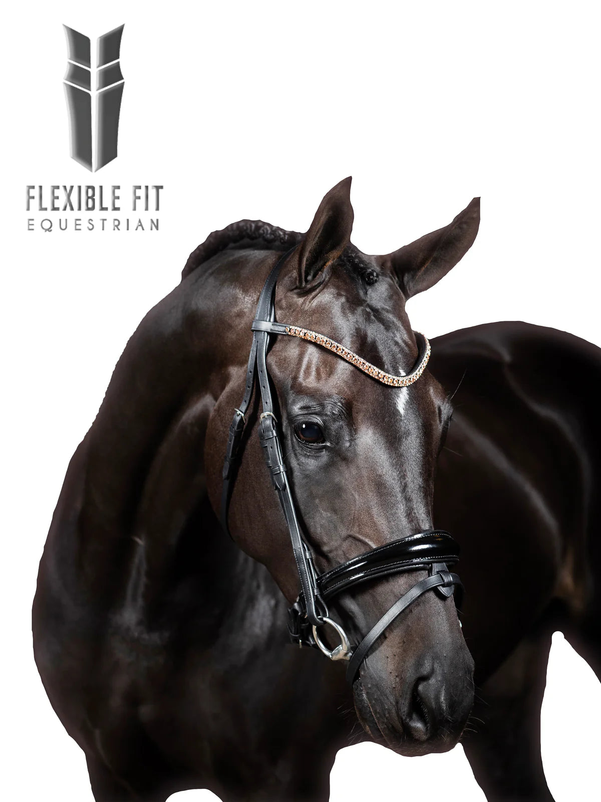 PREMIUM RAVEL SNAFFLE BRIDLE