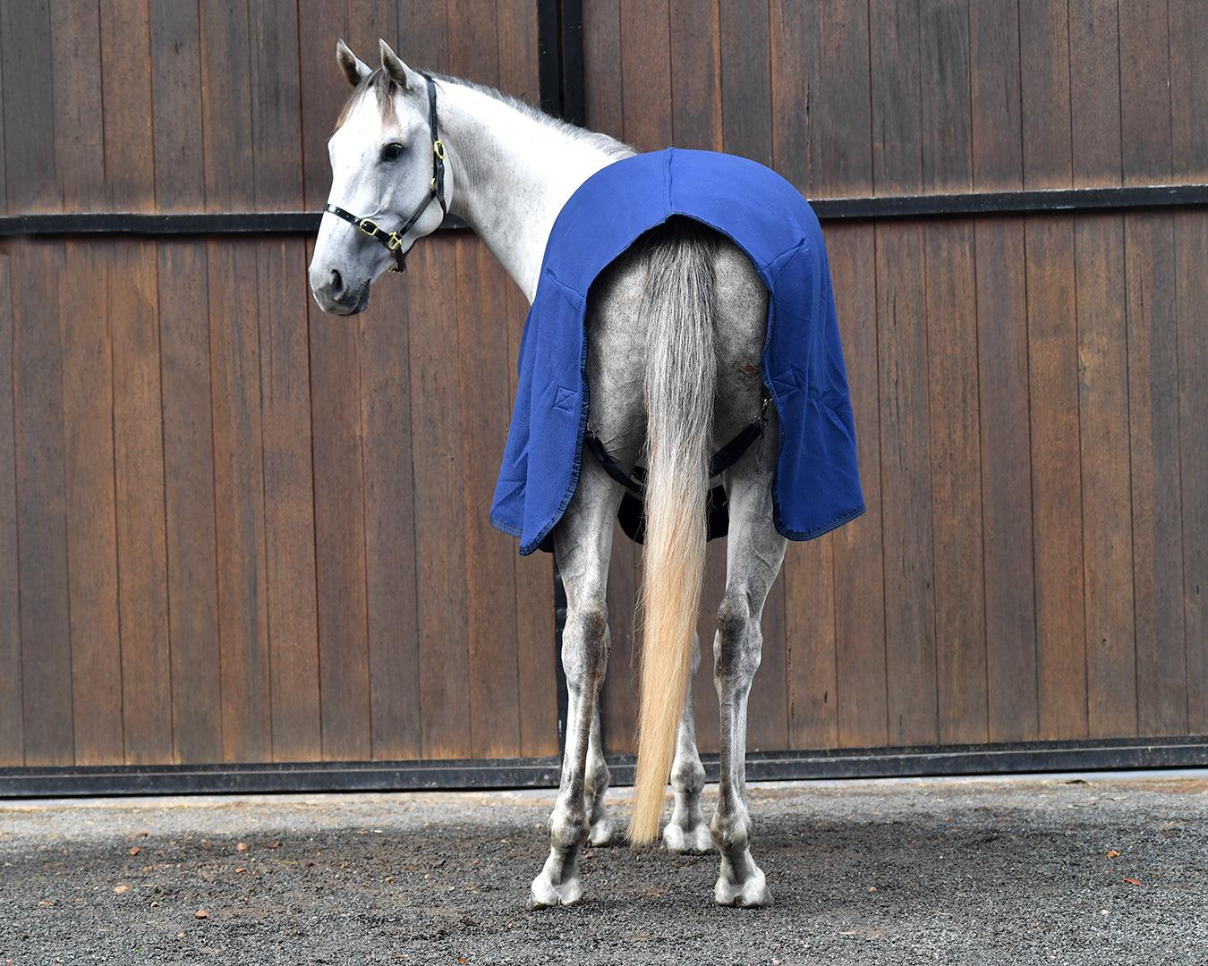 Polar Fleece Horse Rug