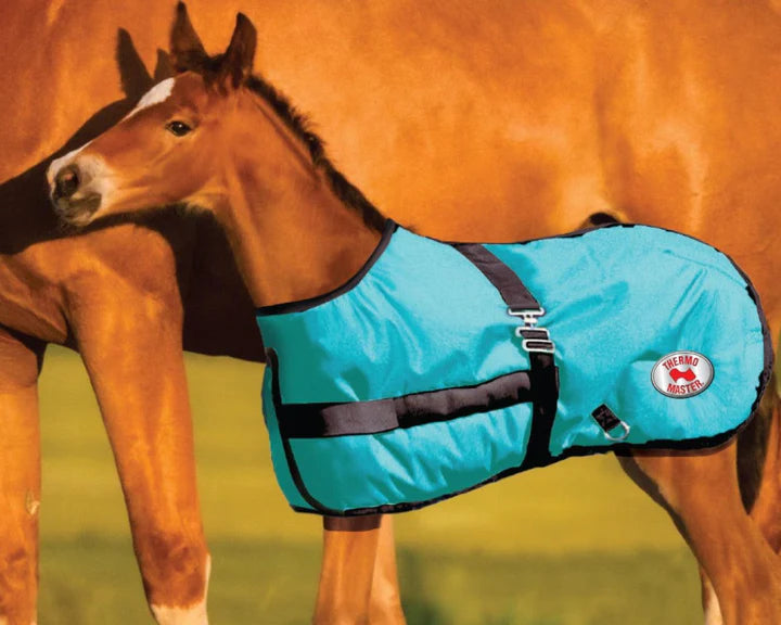 Growing Foal Rug Teal