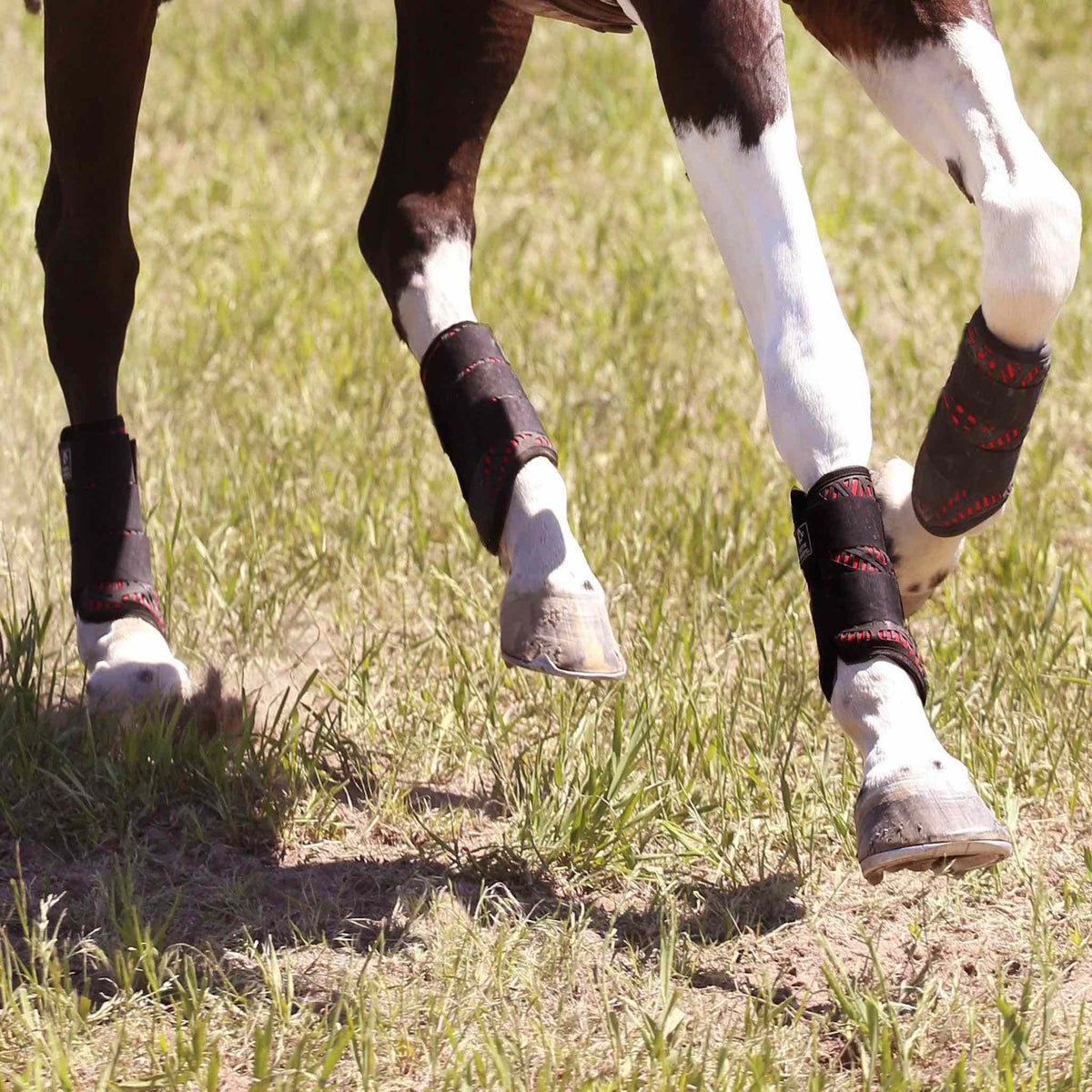 Majyk Equipe Elite XC Front Boots