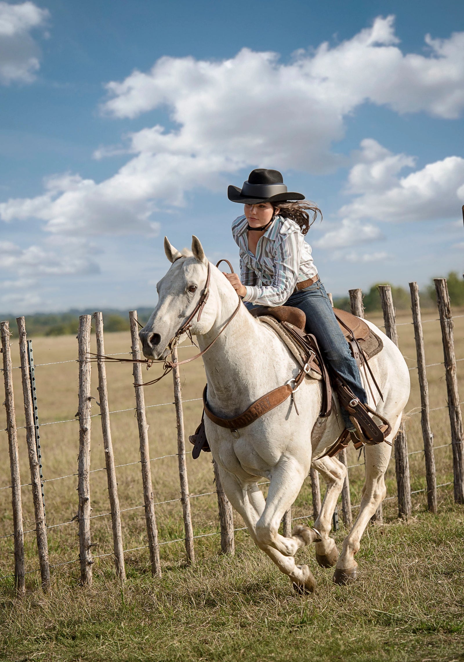 Resistol Ride Safe Helmet - Black Felt.