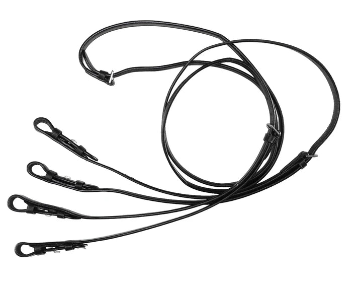 Forked Reins.