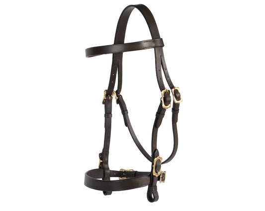 Jeremy & Lord In-Hand Flat Show Bridle