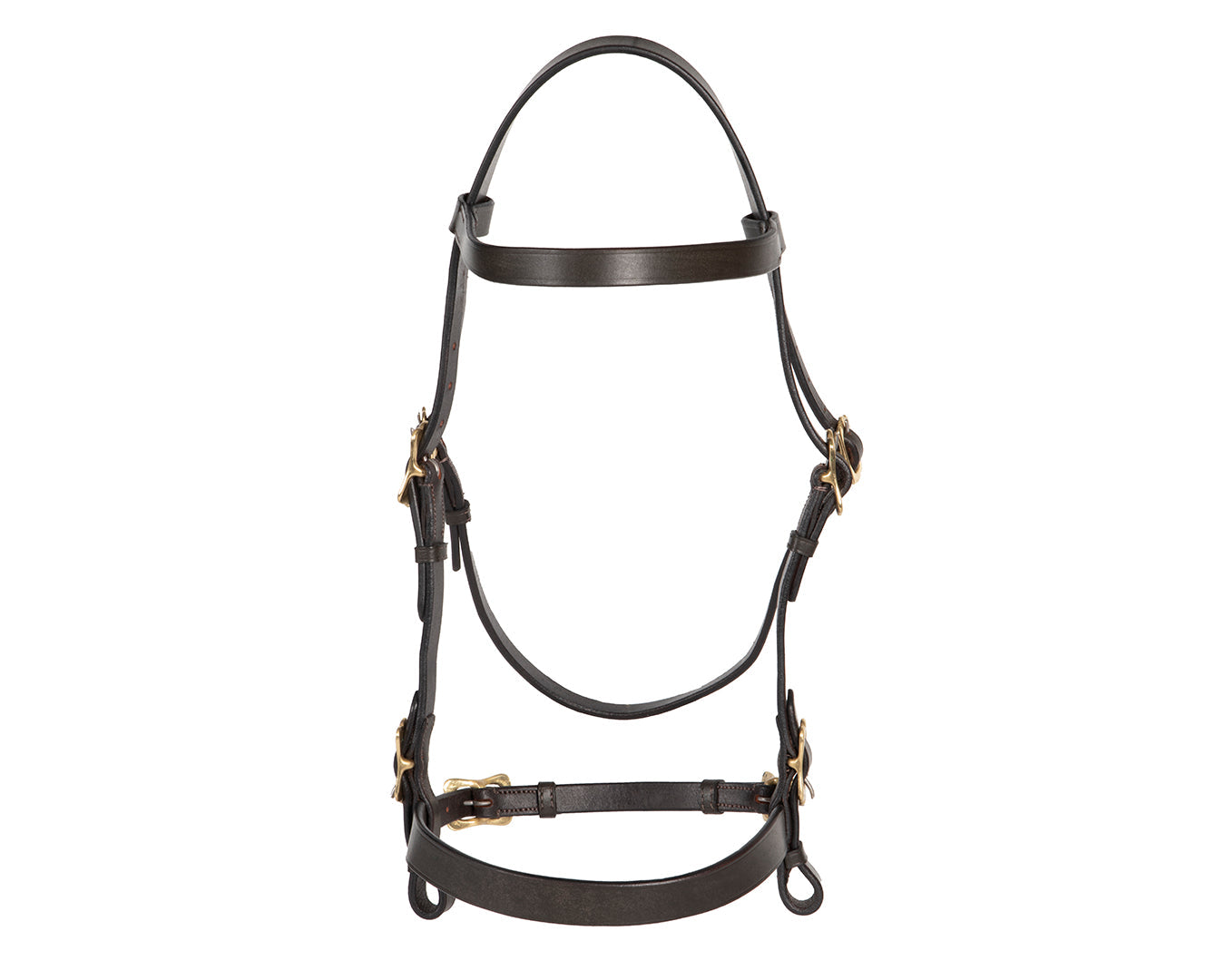 Jeremy & Lord In-Hand Flat Show Bridle