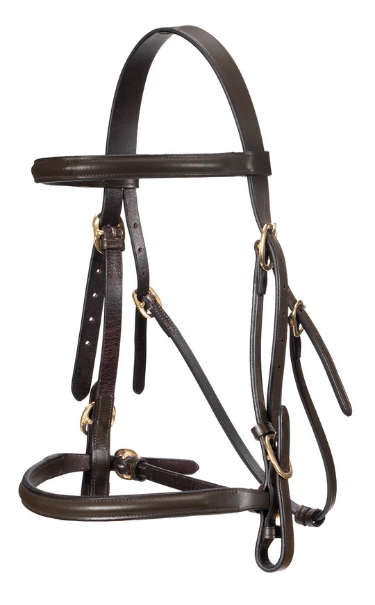 Jeremy & Lord In-Hand Raised Show Bridle