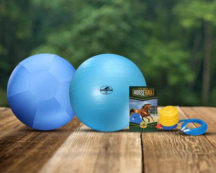 Jolly Mega Horse Ball &amp; Cover Set