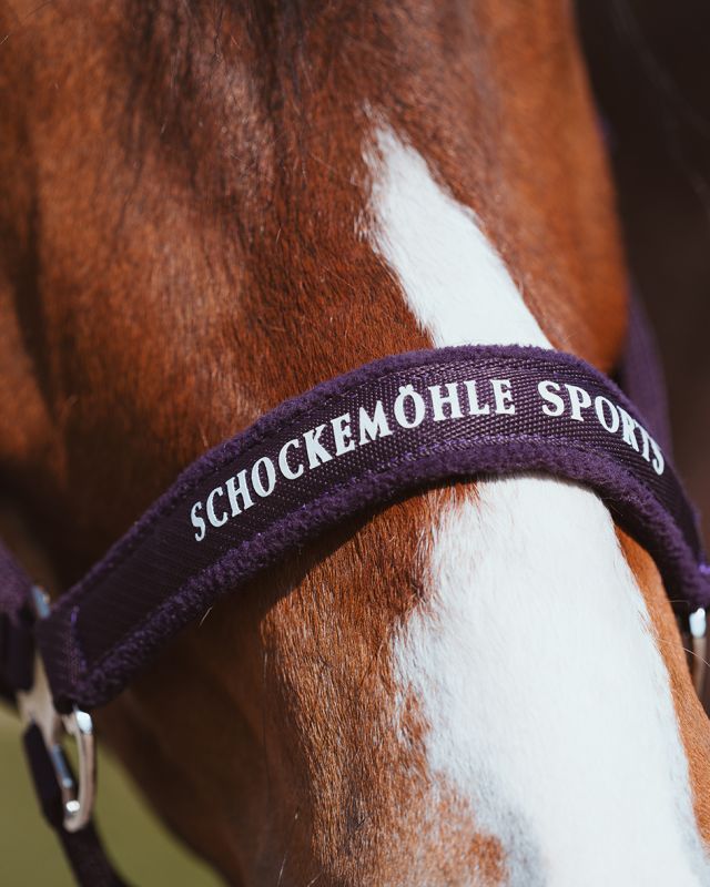 Schockemohle Sports - Halter SP Memphis Style III | Dark Purple