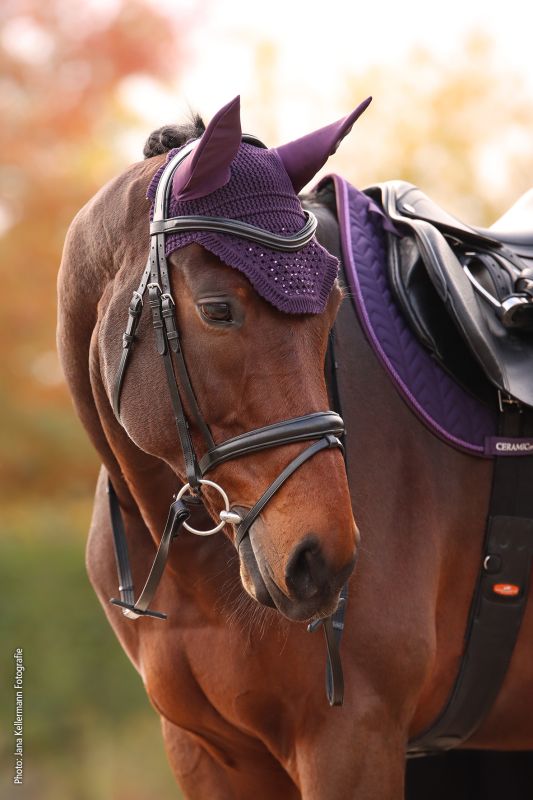 Schockemohle Sports - Ear Bonnet SP Elegant Spark Style | Dark Purple