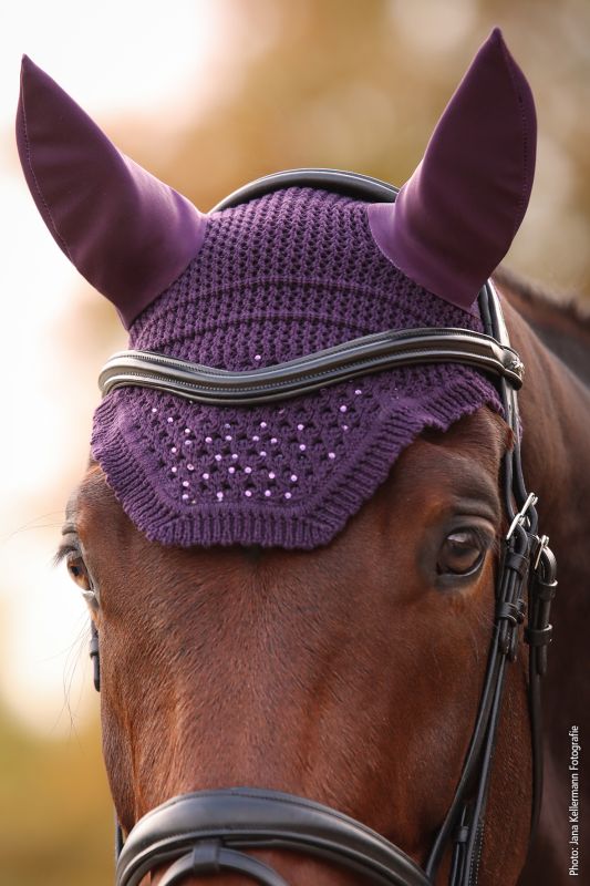 Schockemohle Sports - Ear Bonnet SP Elegant Spark Style | Dark Purple