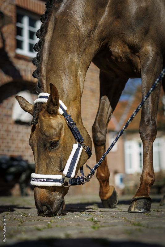 Schockemohle Sports Melbourne Halter