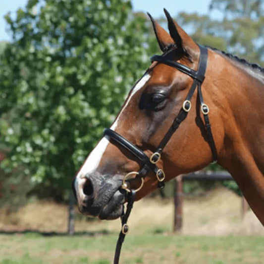 Grainge Inhand Bridle