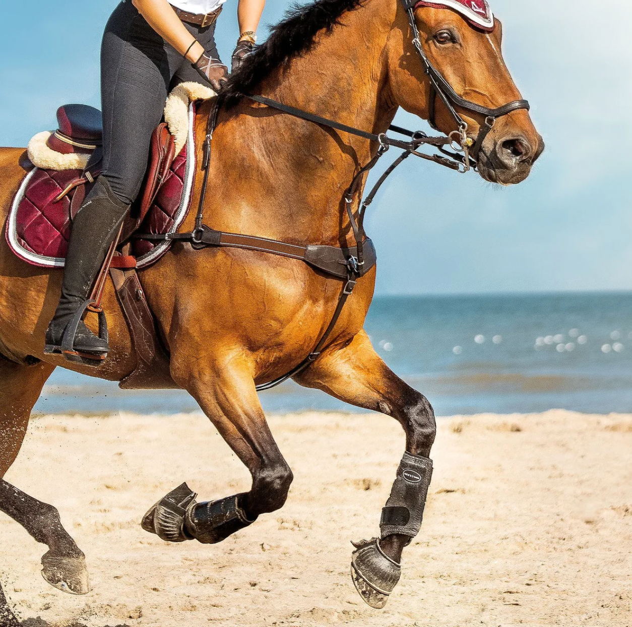 LUMIERE VIDA BRIDGE BREASTPLATE