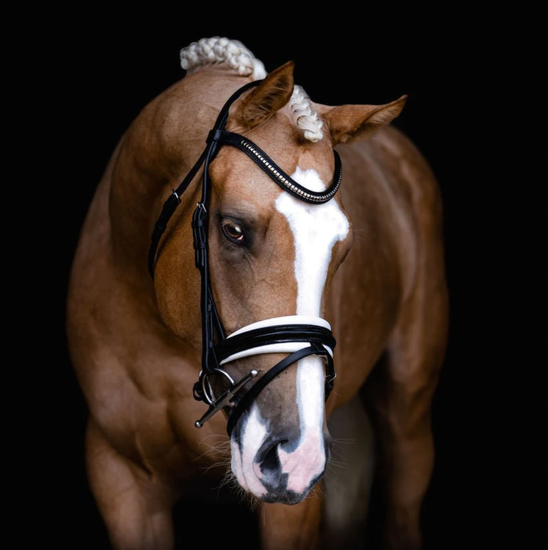 Melodie White Padded Bridle