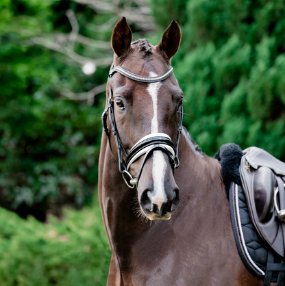 Melodie White Padded Bridle