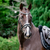 Melodie White Padded Bridle