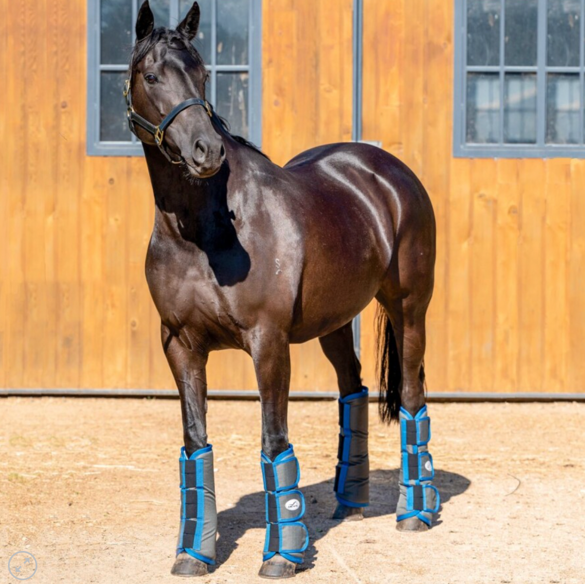 Eurohunter Travel Boots Cob (Grey Fleece Lining)