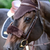 Kentucky Sheepskin Noseband Cover