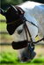 Kentucky Sheepskin Noseband Cover